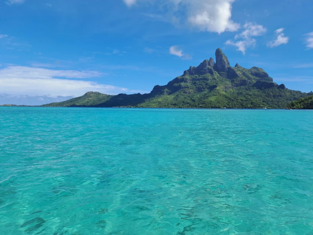 Des Charpentiers au milieu du pacifique